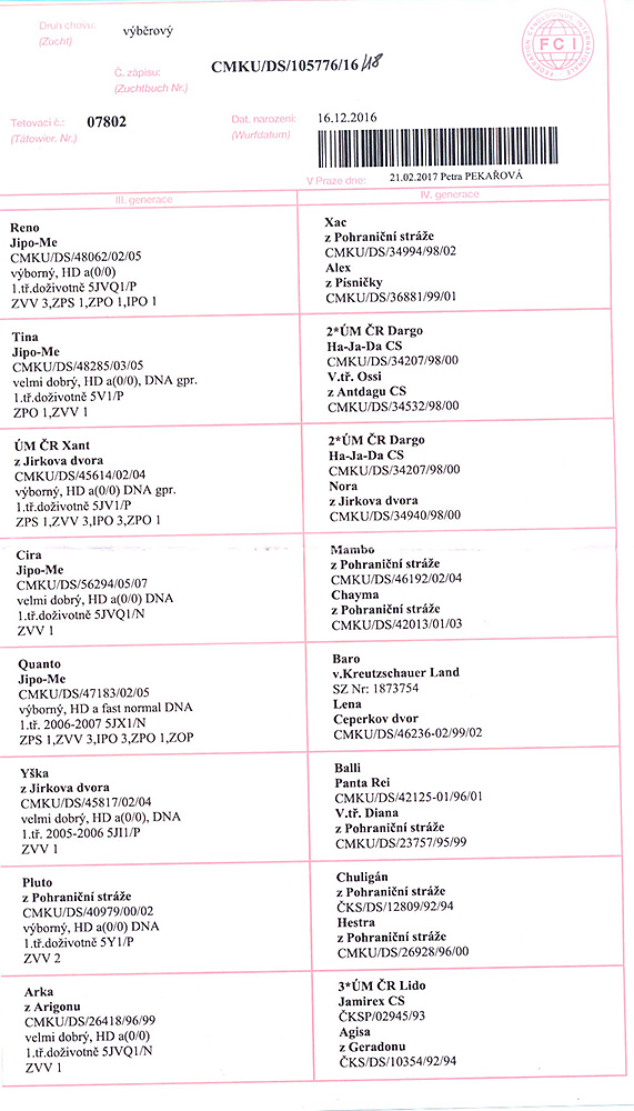 Cadet z Jirkova dvora — pedigree scan 2