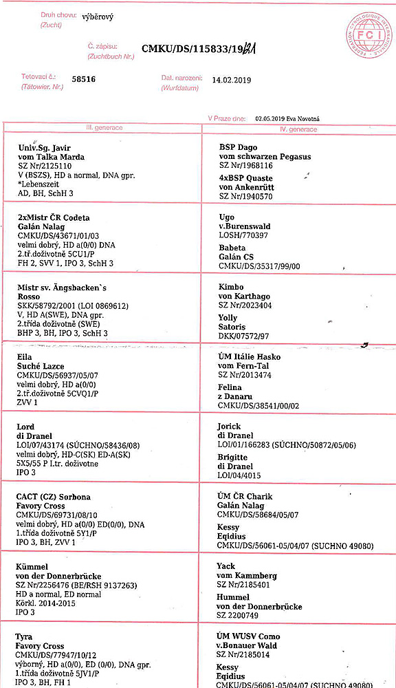 Yavir Favory Cross — pedigree scan 2