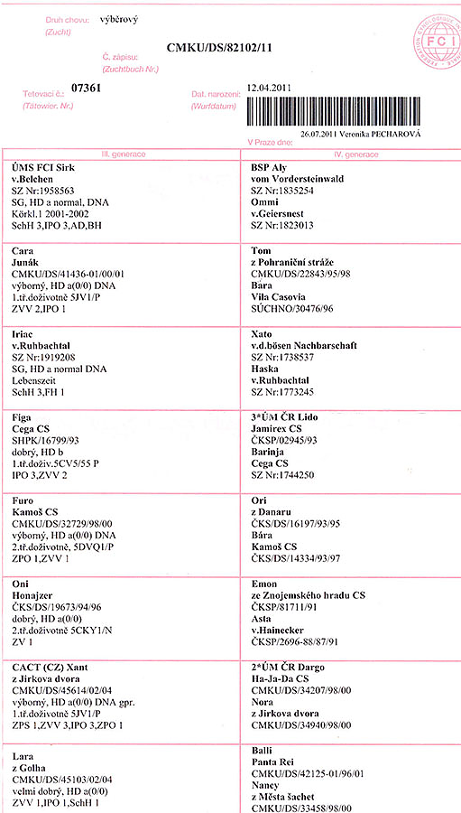 Caro z Jirkova dvora — pedigree scan 2
