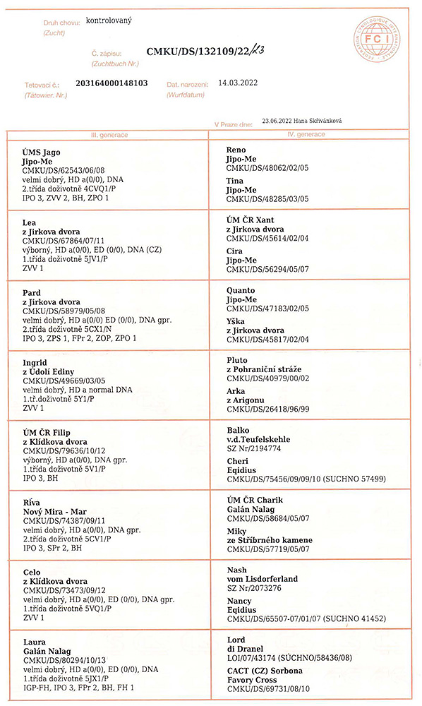 Gap z Ratiborickeho udoli — pedigree scan 2