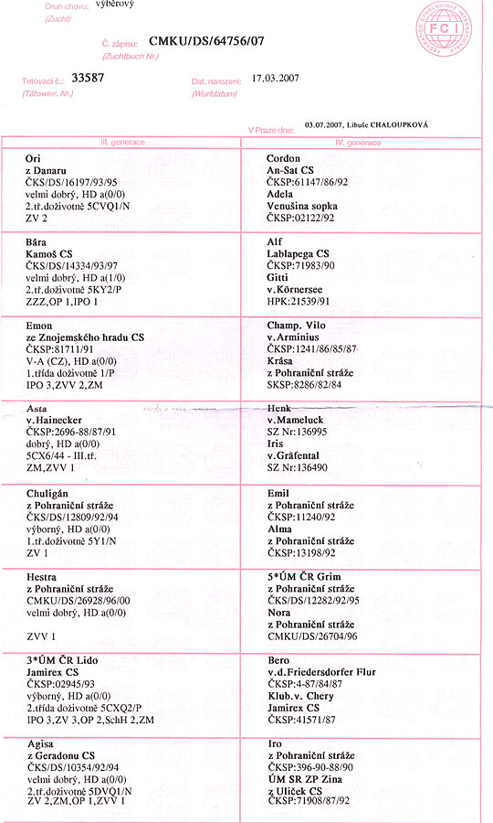 Nero z Udoli Ediny — pedigree scan 2