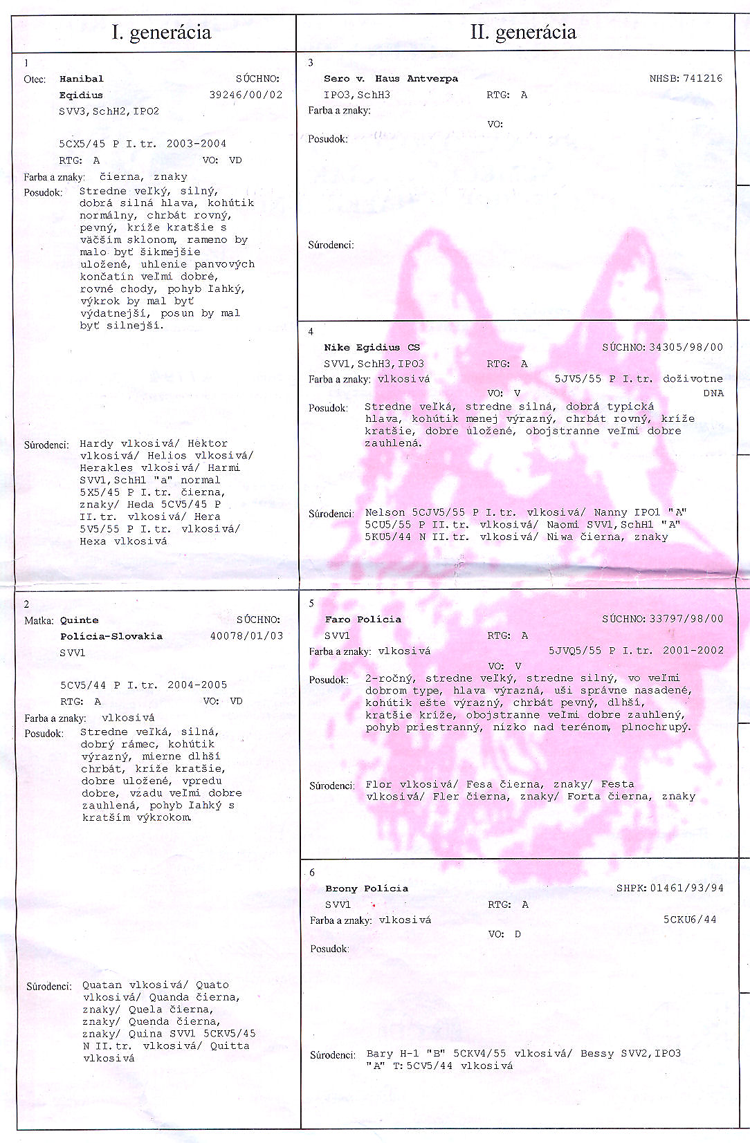 Carly (Caro) Policia-Slovakia — pedigree scan 1
