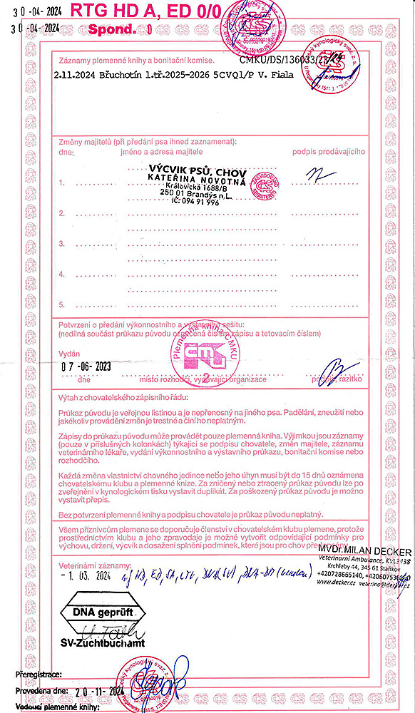 Broker Nokafi — pedigree scan 3