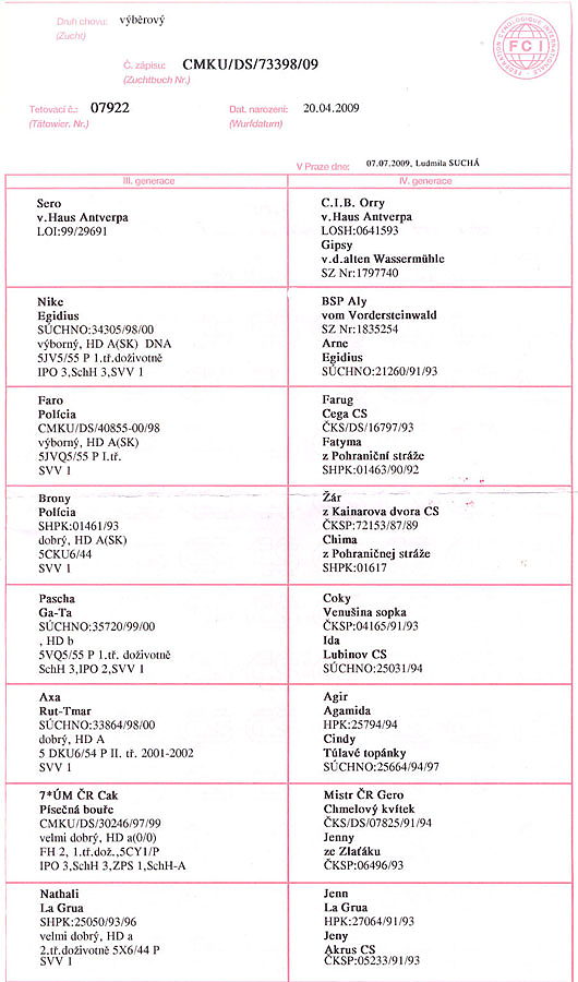 Dask z Jirkova dvora — pedigree scan 2