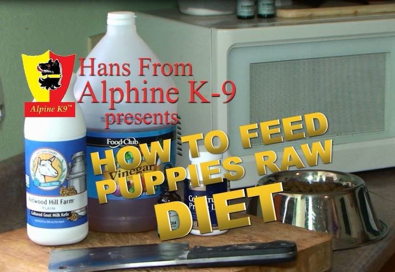 How to Feed the Pup Raw Diet — original store cover
