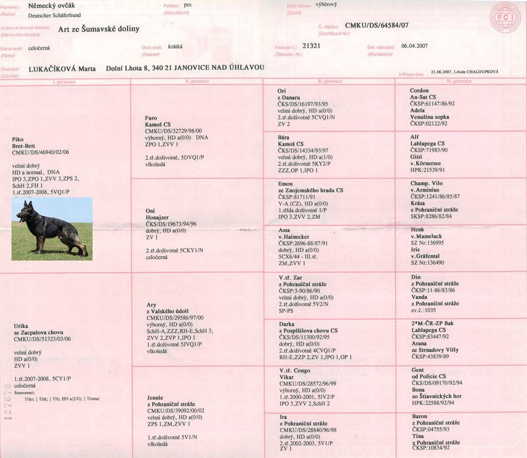 Original image from the archived Art ze Sumavske doliny x TANA z Jirkova dvora litter record