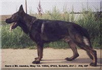 Gero z Blatenskeho zamku — original photograph