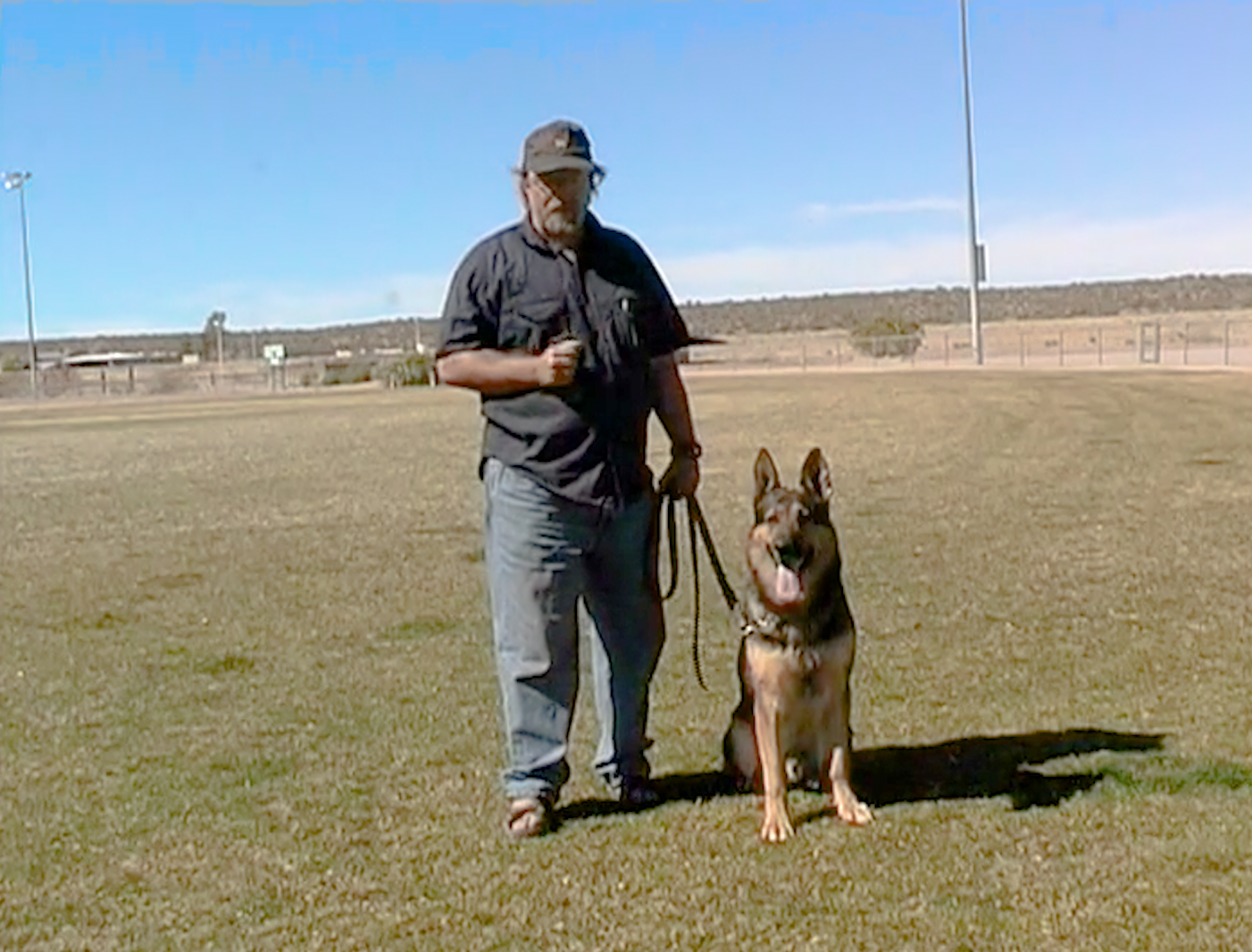 No Nonsense Obedience Training — original course cover