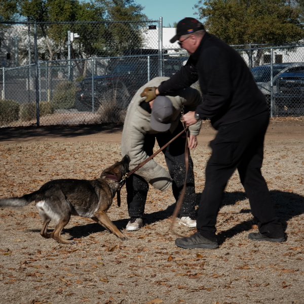 Exercise for Civil Dogs & Their Civil Testing — original AlpineK9Real cover