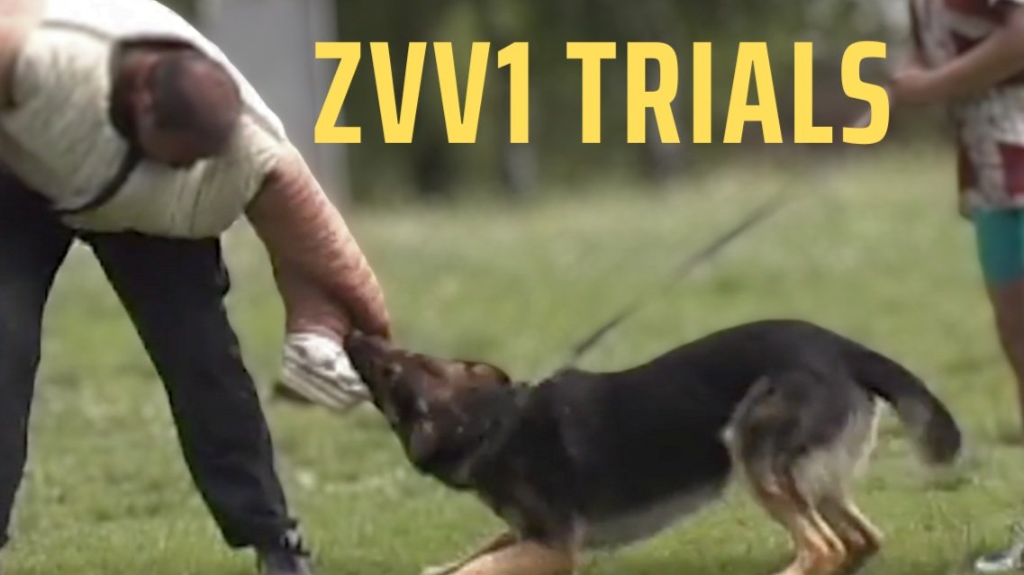 ZVV 1 Trials — original AlpineK9Real cover