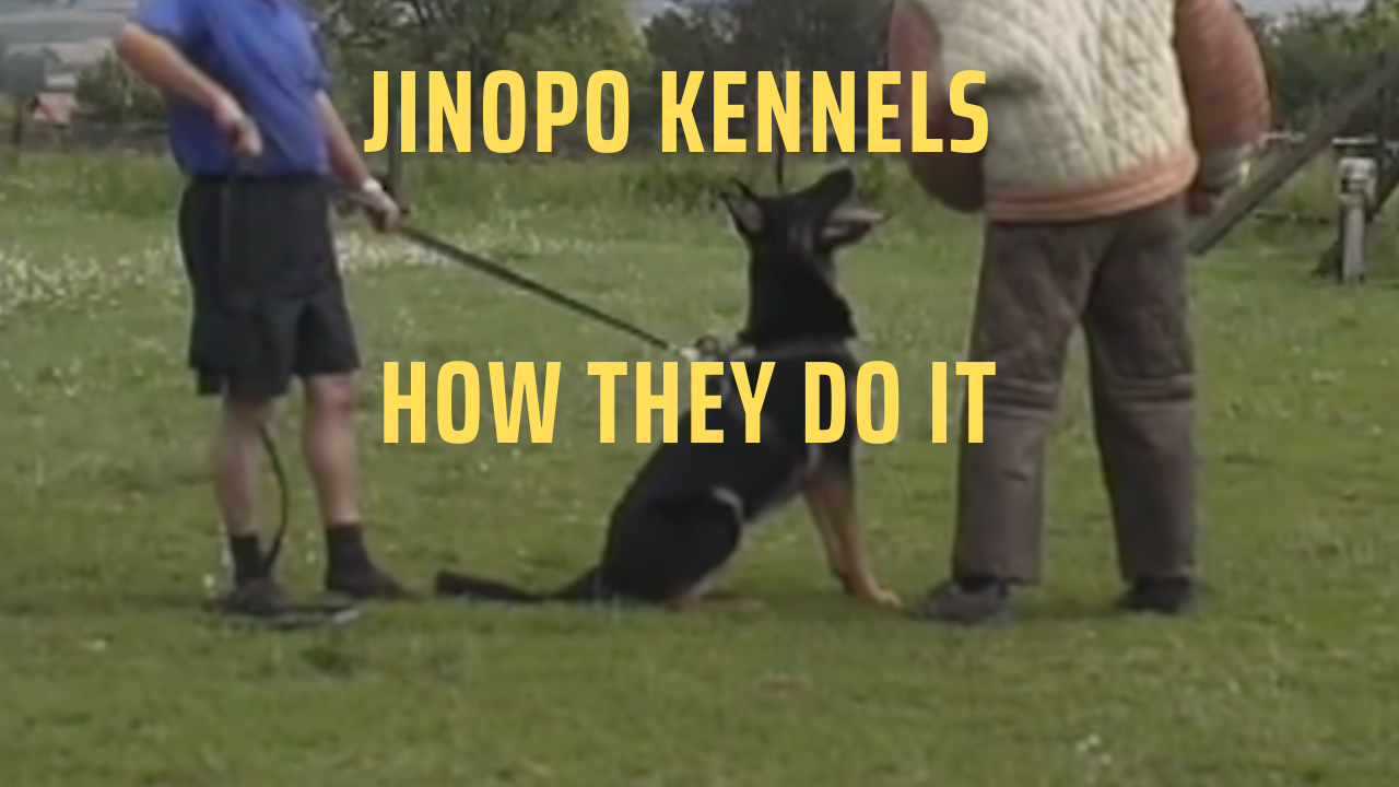 JINOPO Kennels — How They Do It — original AlpineK9Real cover