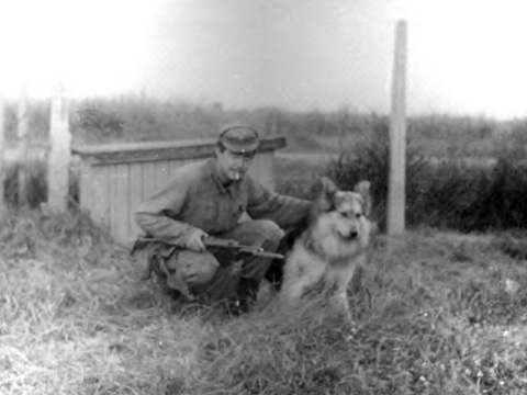 Original photograph or document from Czech German Shepherd Dogs from Alpine K9