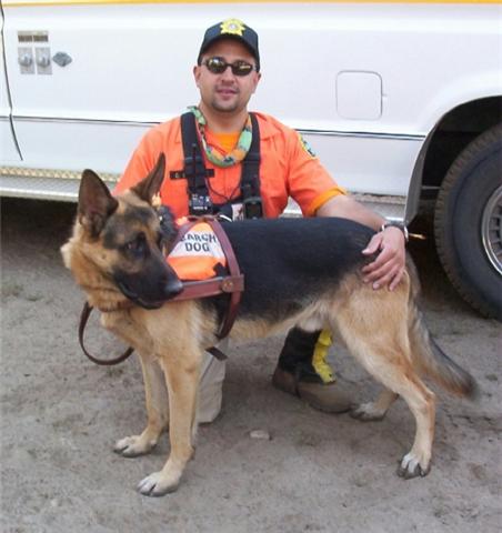 Original image from the archived German Shepherd Dogs - Alpine K-9 Contact Us record