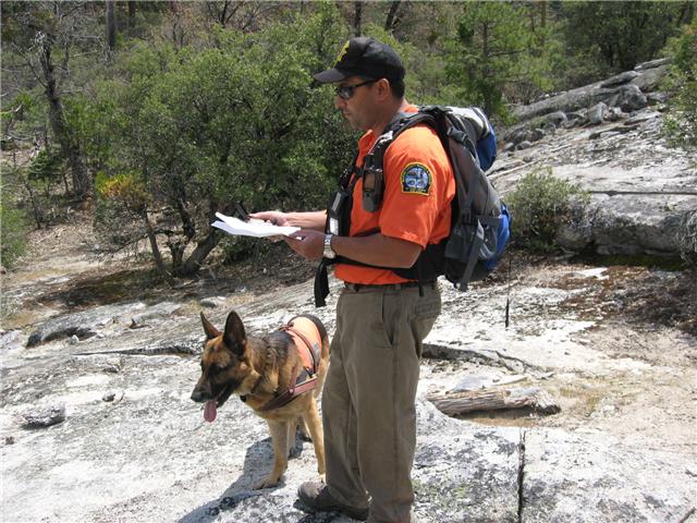 Original image from the archived German Shepherd Dogs - Alpine K-9 Contact Us record