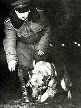A service dog and handler, from the historical collection.