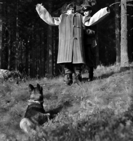 Original photograph or document from Czech German Shepherd Dogs from Alpine K9
