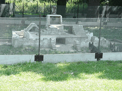 The puppy agility grounds inside the compound.