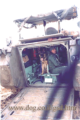 Original photograph or document from Working-dog accounts