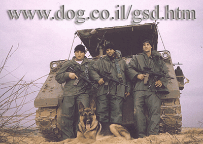 Original photograph or document from Working-dog accounts