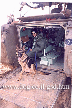 Original photograph or document from Working-dog accounts