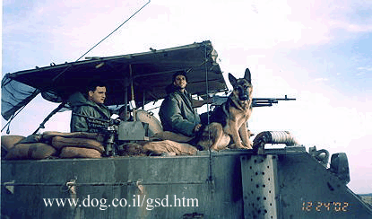 Original photograph or document from Working-dog accounts