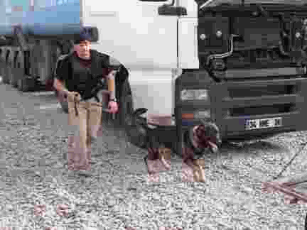 Original photograph or document from Working-dog accounts