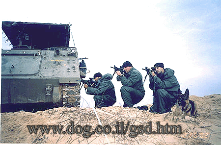 Original photograph or document from Working-dog accounts