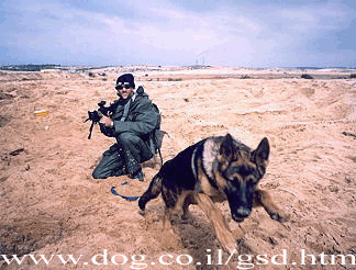 Original photograph or document from Working-dog accounts