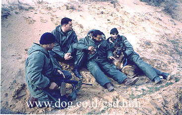 Original photograph or document from Working-dog accounts