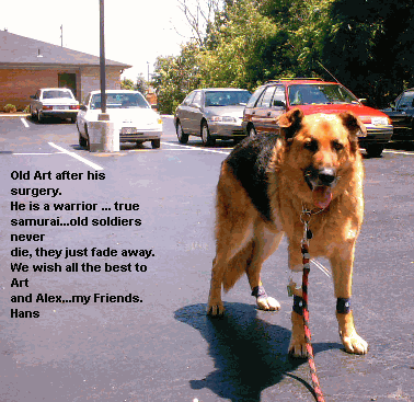 Original photograph or document from Memorable dogs