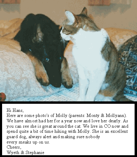 Original photograph or document from Customer letters — collection two