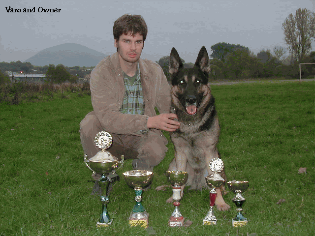 Original photograph or document from Memorable dogs