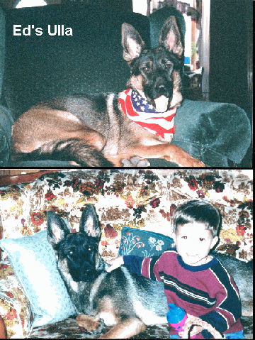 Original photograph or document from Customer letters — collection two