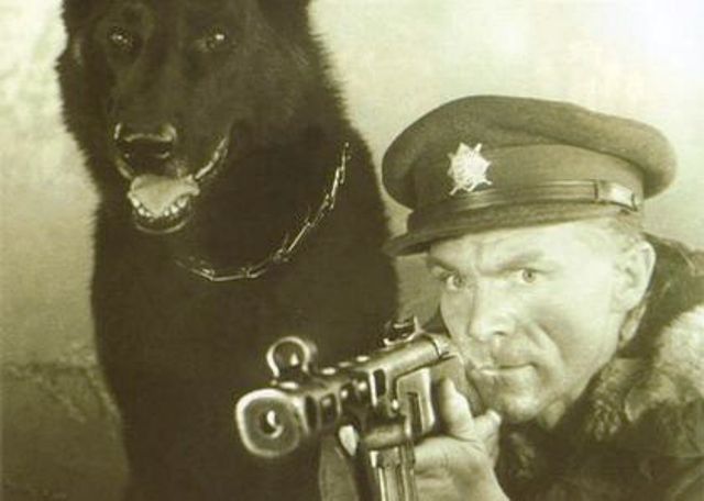 Original photograph or document from Czech German Shepherd Dogs from Alpine K9