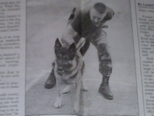 Paul and Aiko in the original working-dog collection