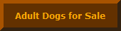 Original image from the archived Item Reviews record