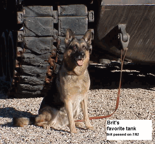 Original photograph or document from Memorable dogs