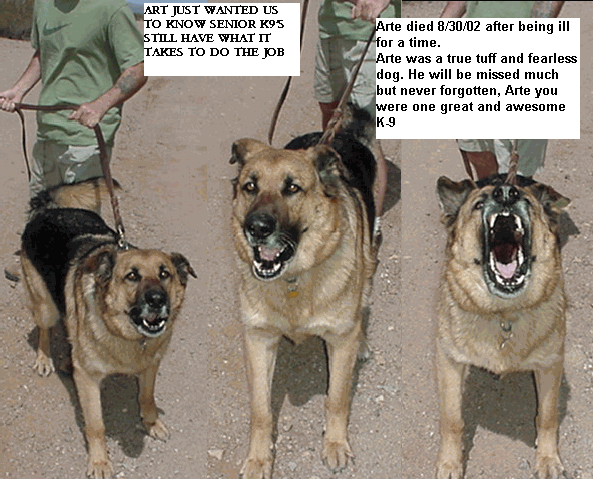 Original photograph or document from Memorable dogs