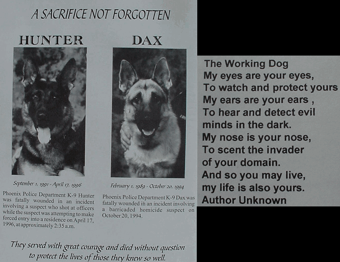 Original photograph or document from Working-dog accounts