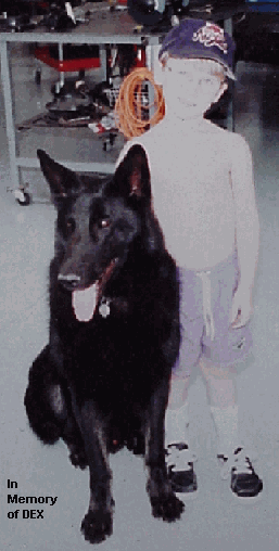 Original photograph or document from Memorable dogs