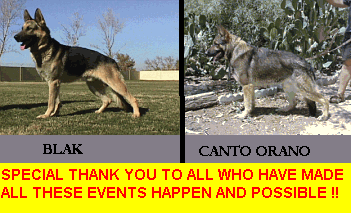 Original photograph or document from Handler’s course — original page