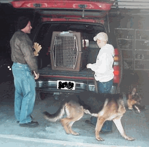 Original photograph or document from Handler’s course — original page