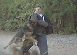 Photograph from the original training sessions