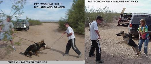 Dogs and handlers in the original session collection