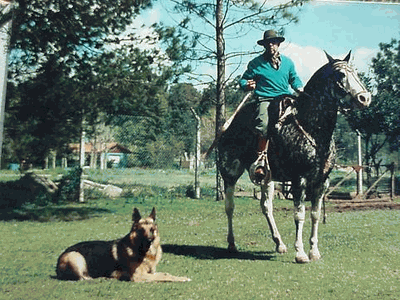 Original photograph or document from Handler’s course — original page
